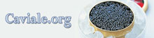 Caviale